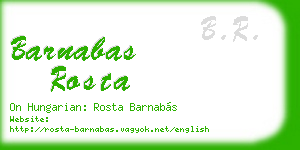 barnabas rosta business card